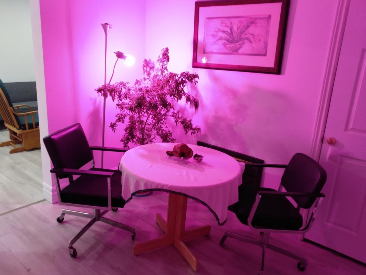Healing Touch Holistic Living Space Amherst Exterior foto